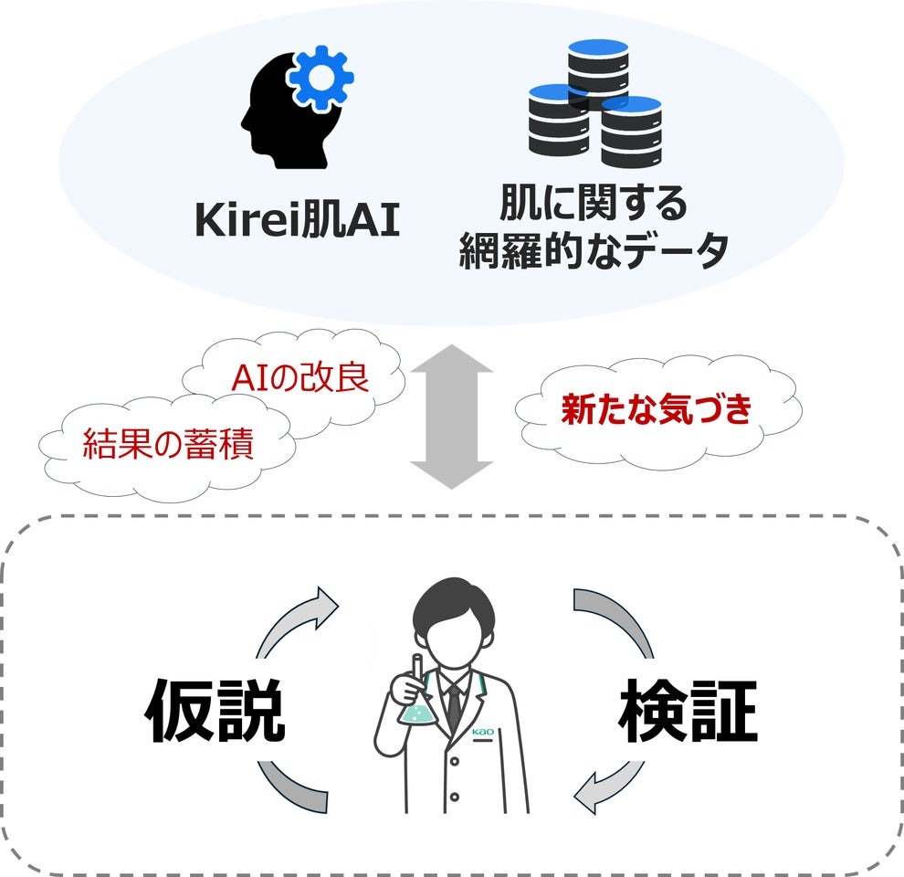 機能拡充した「Kirei肌AI」を介在させた研究サイクル